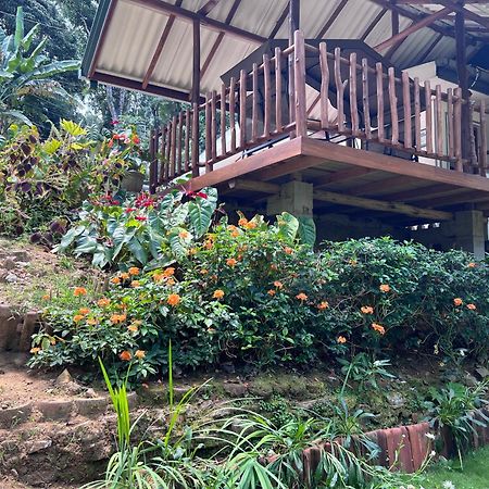 Eeshani Guest Inn Ella Exterior photo